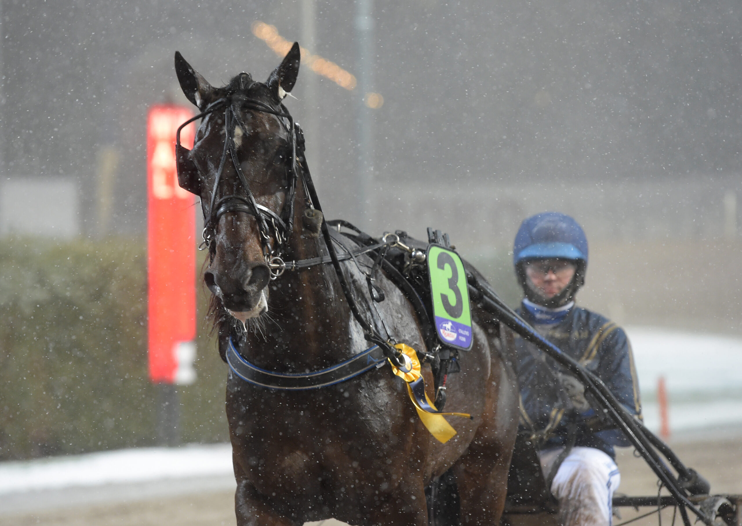 Ready Creation Segerdefilerar Scaled